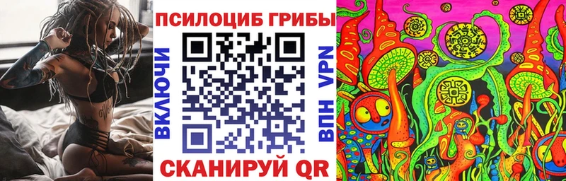 купить  цена  Калачинск  ссылка на мегу ТОР  Псилоцибиновые грибы ЛСД 